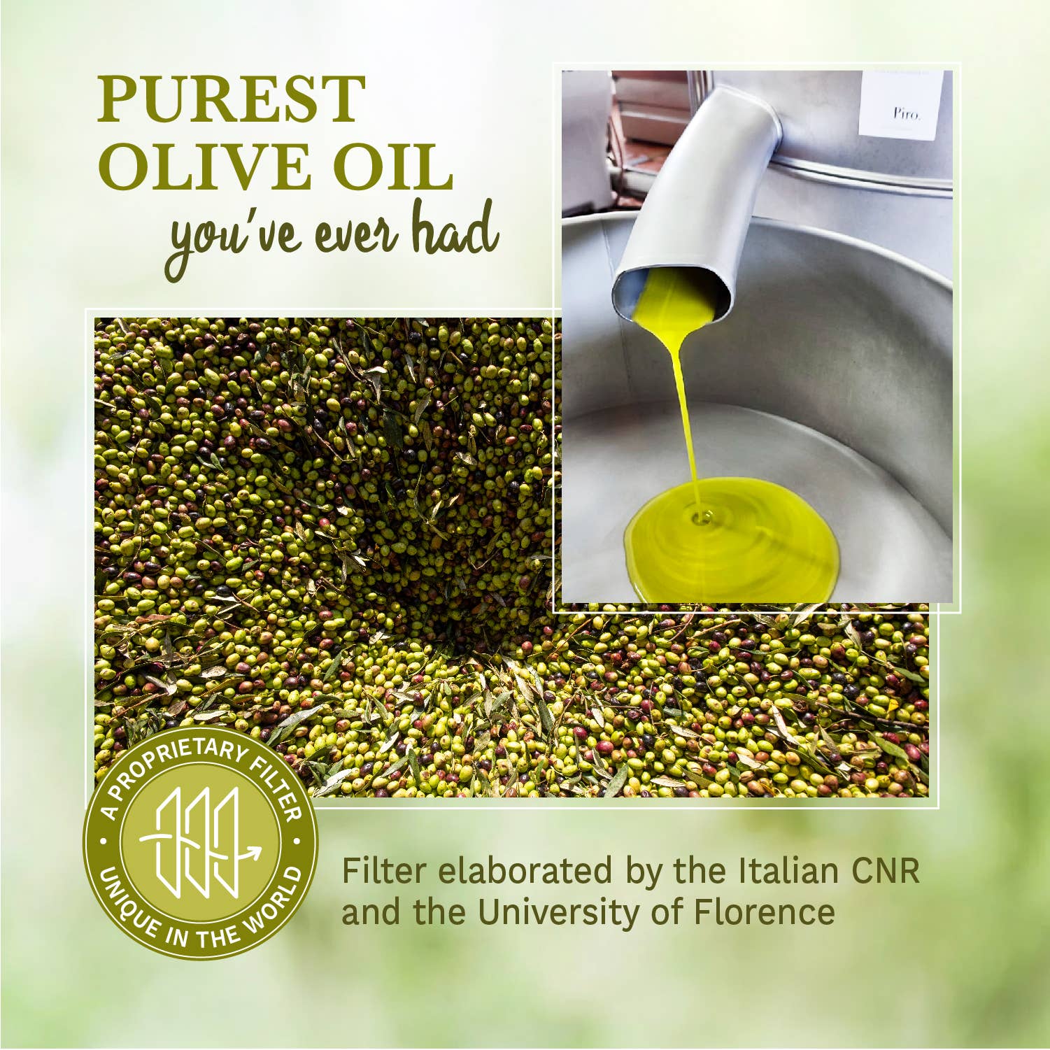 Olio Piro 2024 Harvest | 500ml - olio piro - bluecashew kitchen homestead