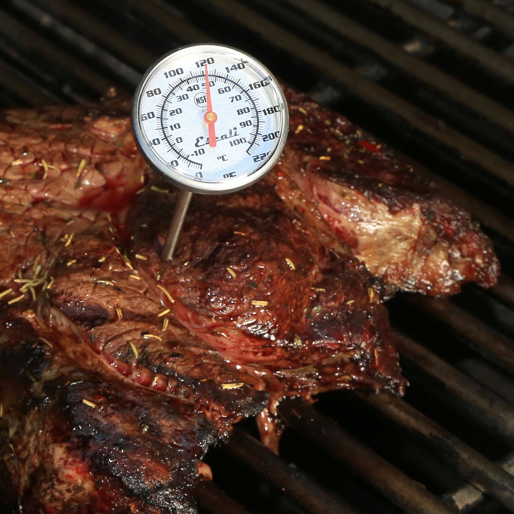 Instant Read Large Dial Thermometer - Kitchen Supply - Bluecashew Kitchen Homestead