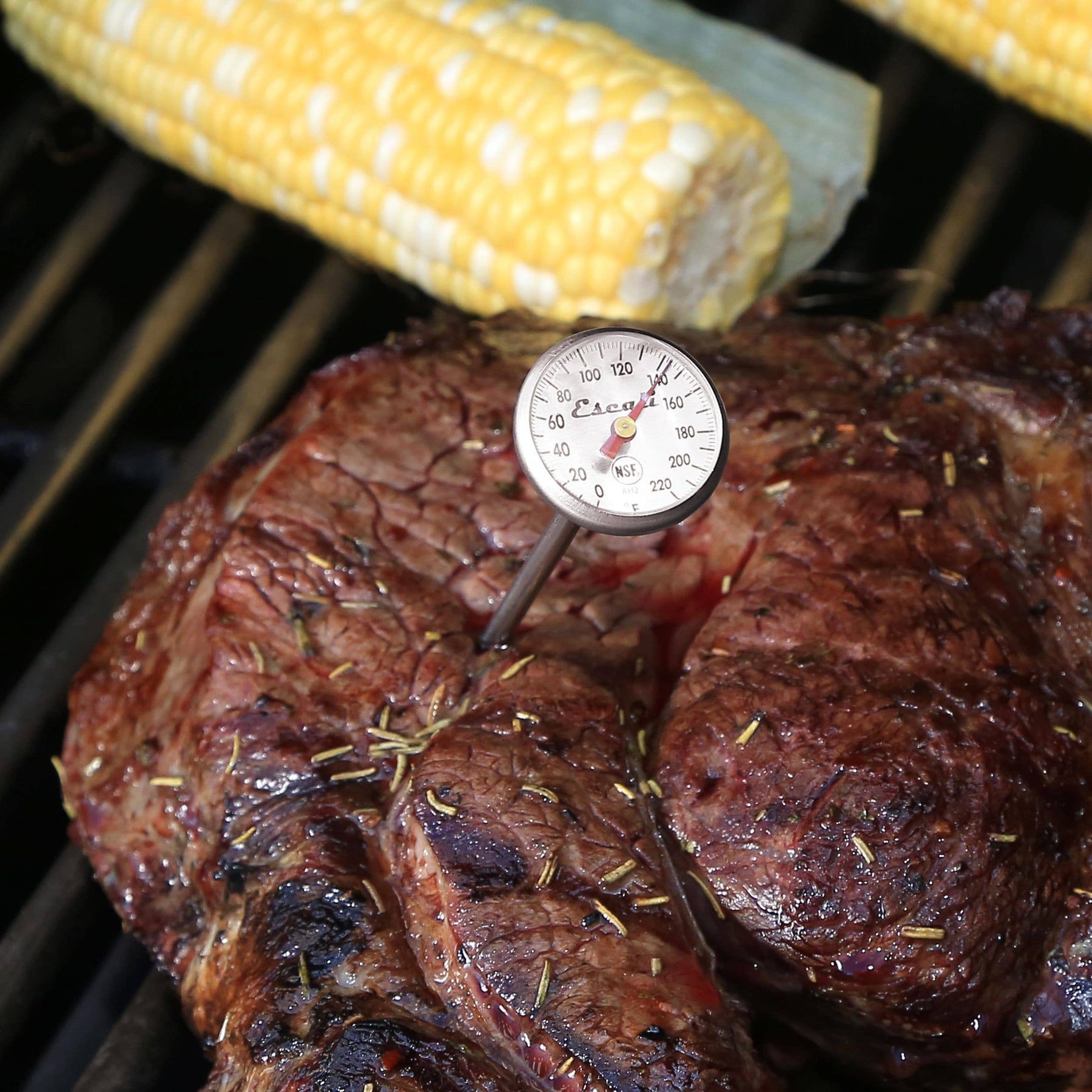 Instant Read Dial Thermometer - Kitchen Supply - Bluecashew Kitchen Homestead