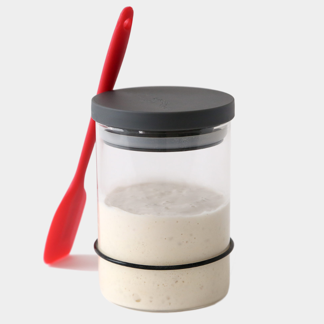 Sourdough Kit - Breadtopia - Bluecashew Kitchen Homestead