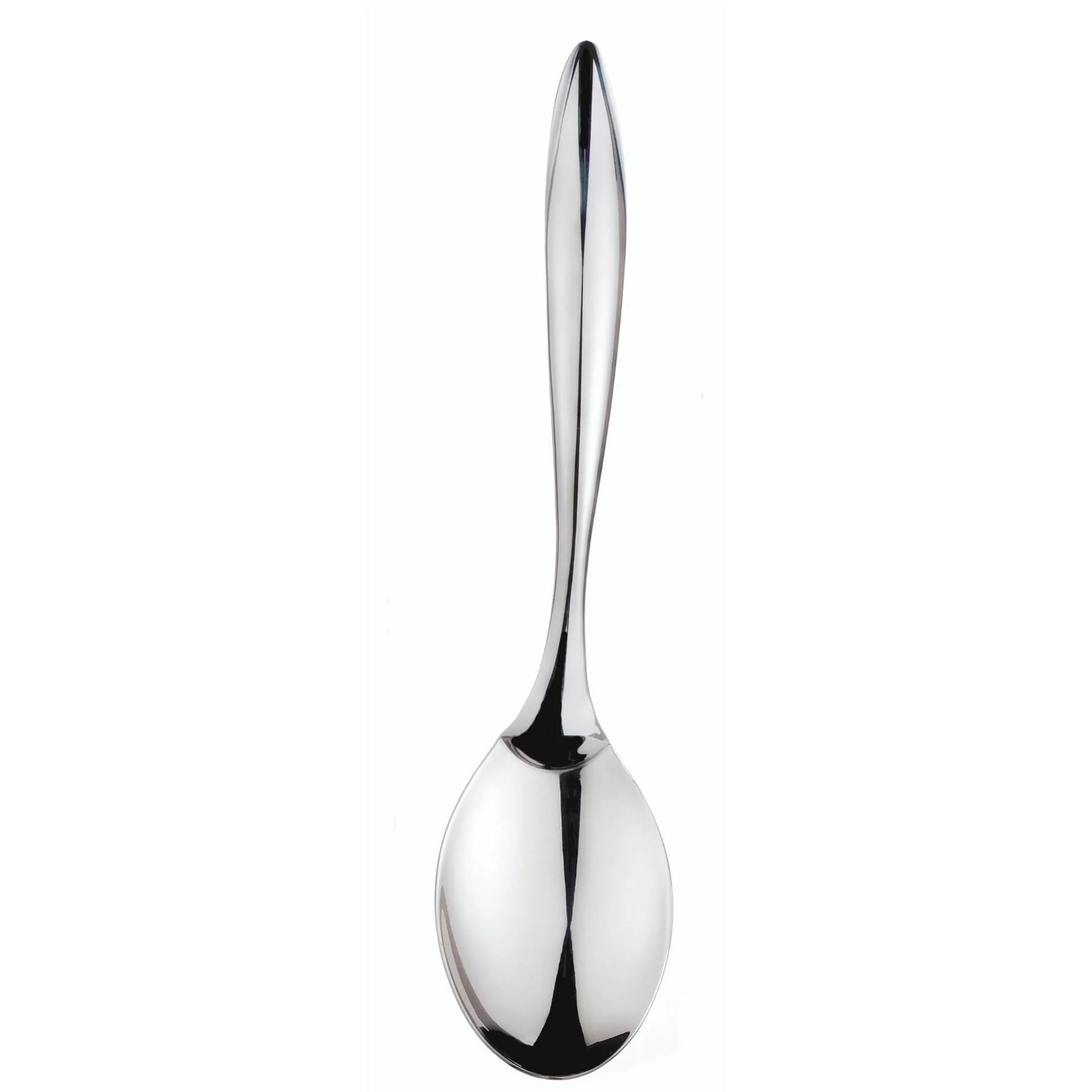 Tempo Stainless Steel Serving Spoon - Cuisipro - Bluecashew Kitchen Homestead