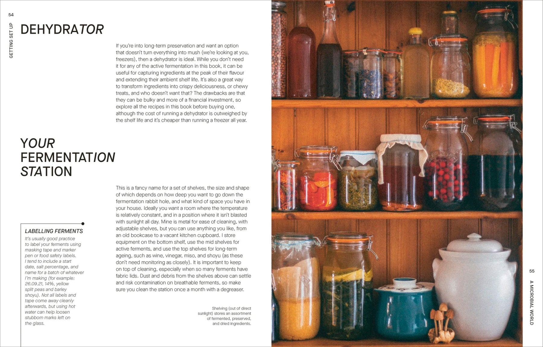 The Fermentation Kitchen | by Sam Cooper - Random House, Inc - Bluecashew Kitchen Homestead