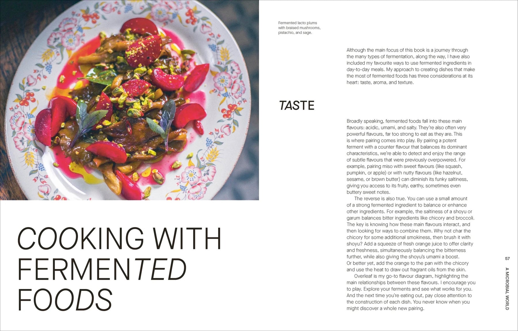 The Fermentation Kitchen | by Sam Cooper - Random House, Inc - Bluecashew Kitchen Homestead