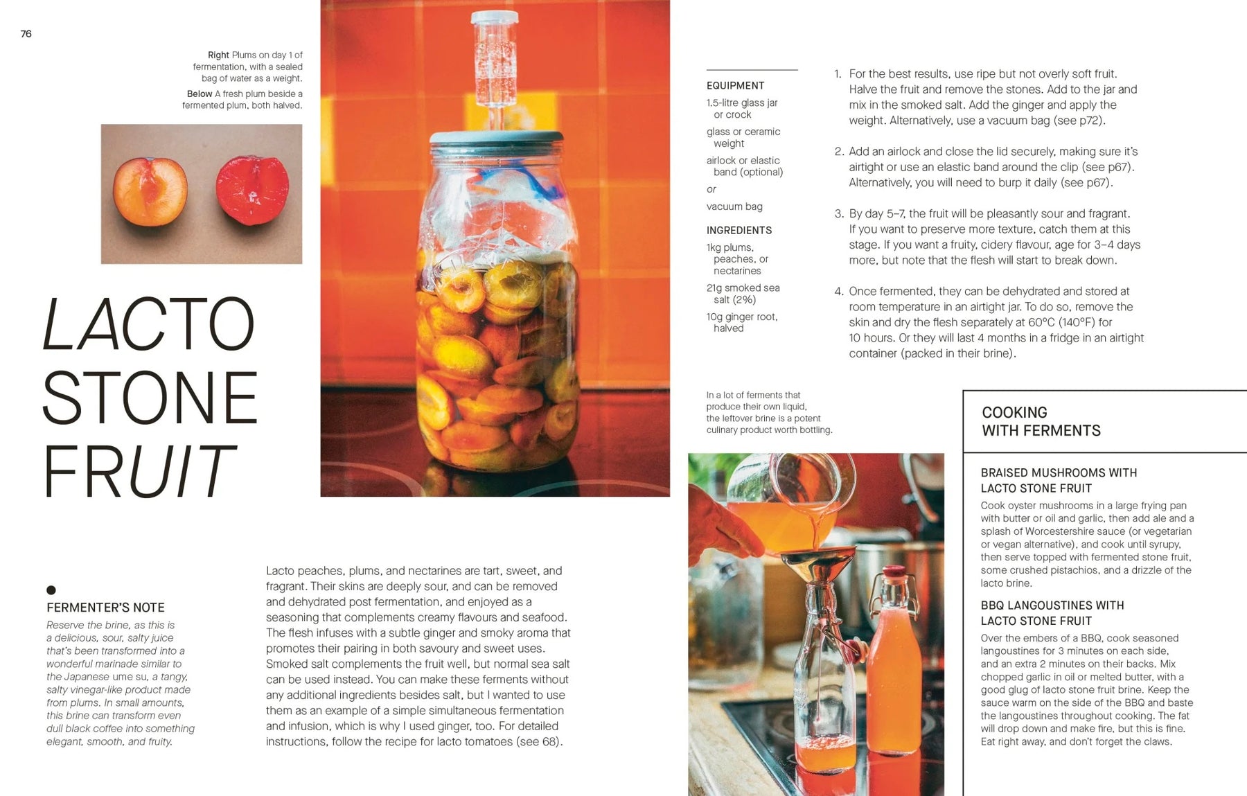 The Fermentation Kitchen | by Sam Cooper - Random House, Inc - Bluecashew Kitchen Homestead