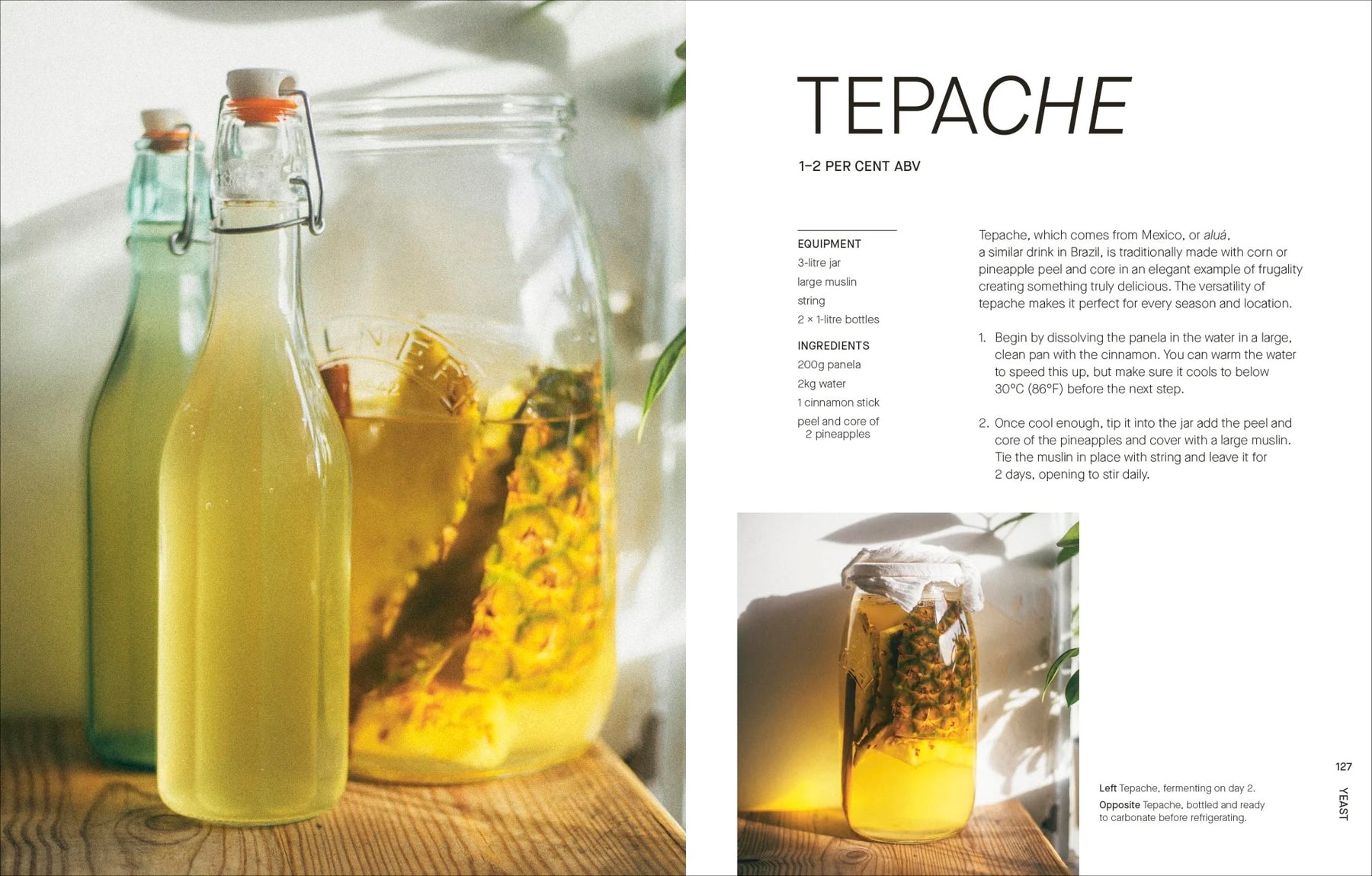 The Fermentation Kitchen | by Sam Cooper - Random House, Inc - Bluecashew Kitchen Homestead