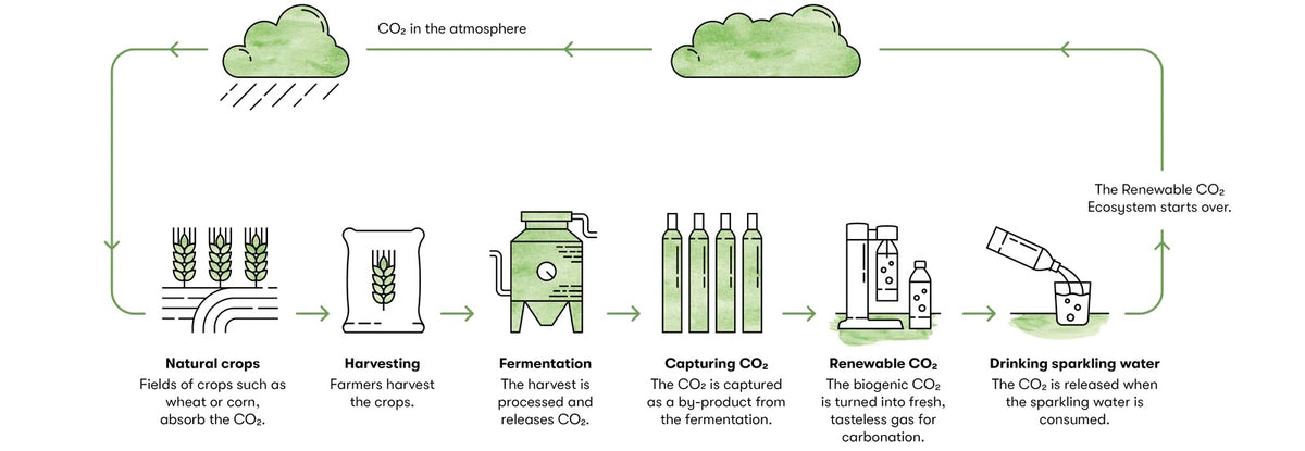 Aarke CO2 Cylinder | REFILL - AARKE - bluecashew kitchen homestead