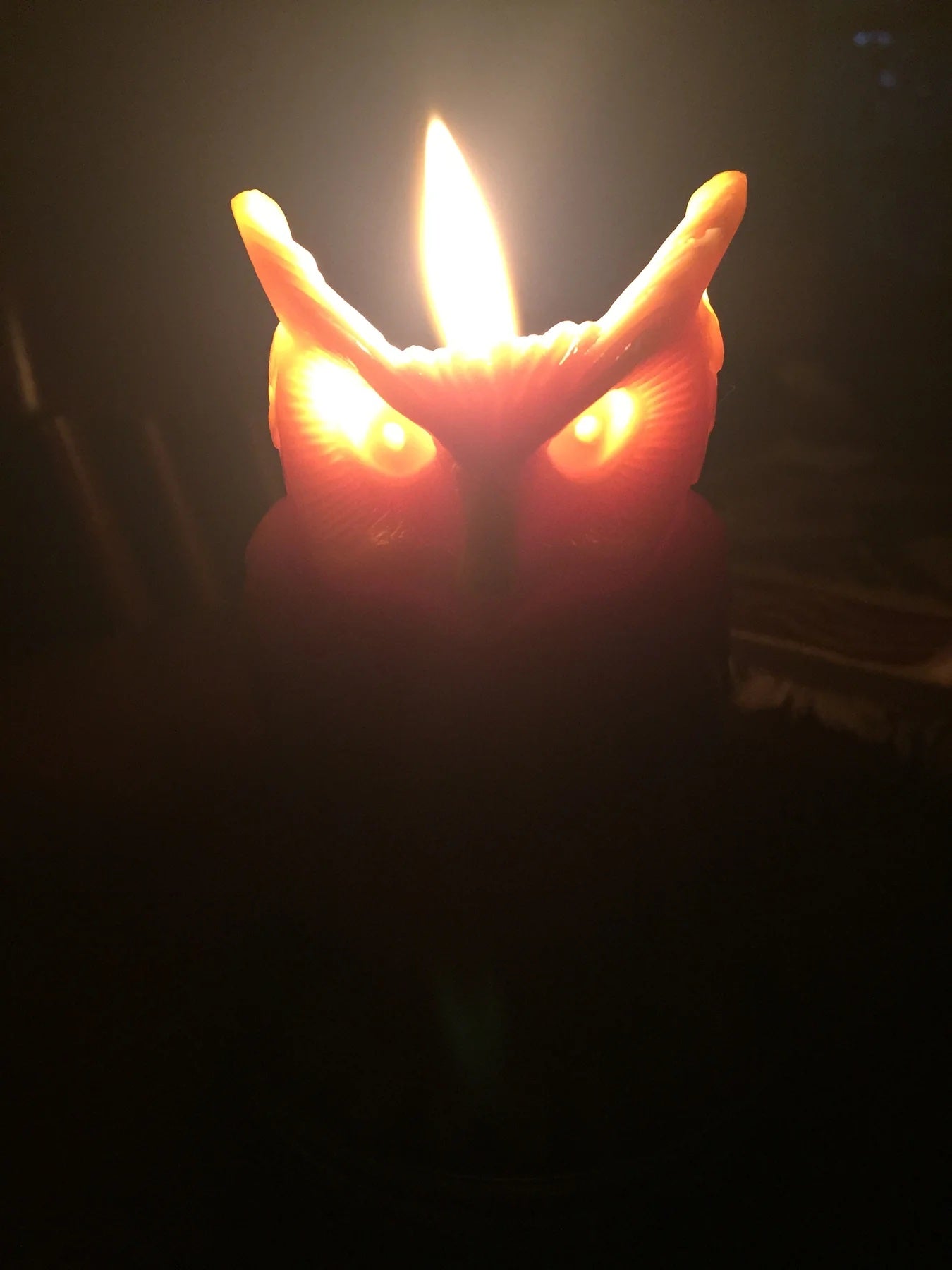 Wise Owl Beeswax Candle | Natural - sunbeam candles - Bluecashew Kitchen Homestead
