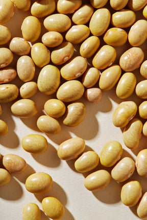 Organic Peruano Beans - beanstory - Bluecashew Kitchen Homestead