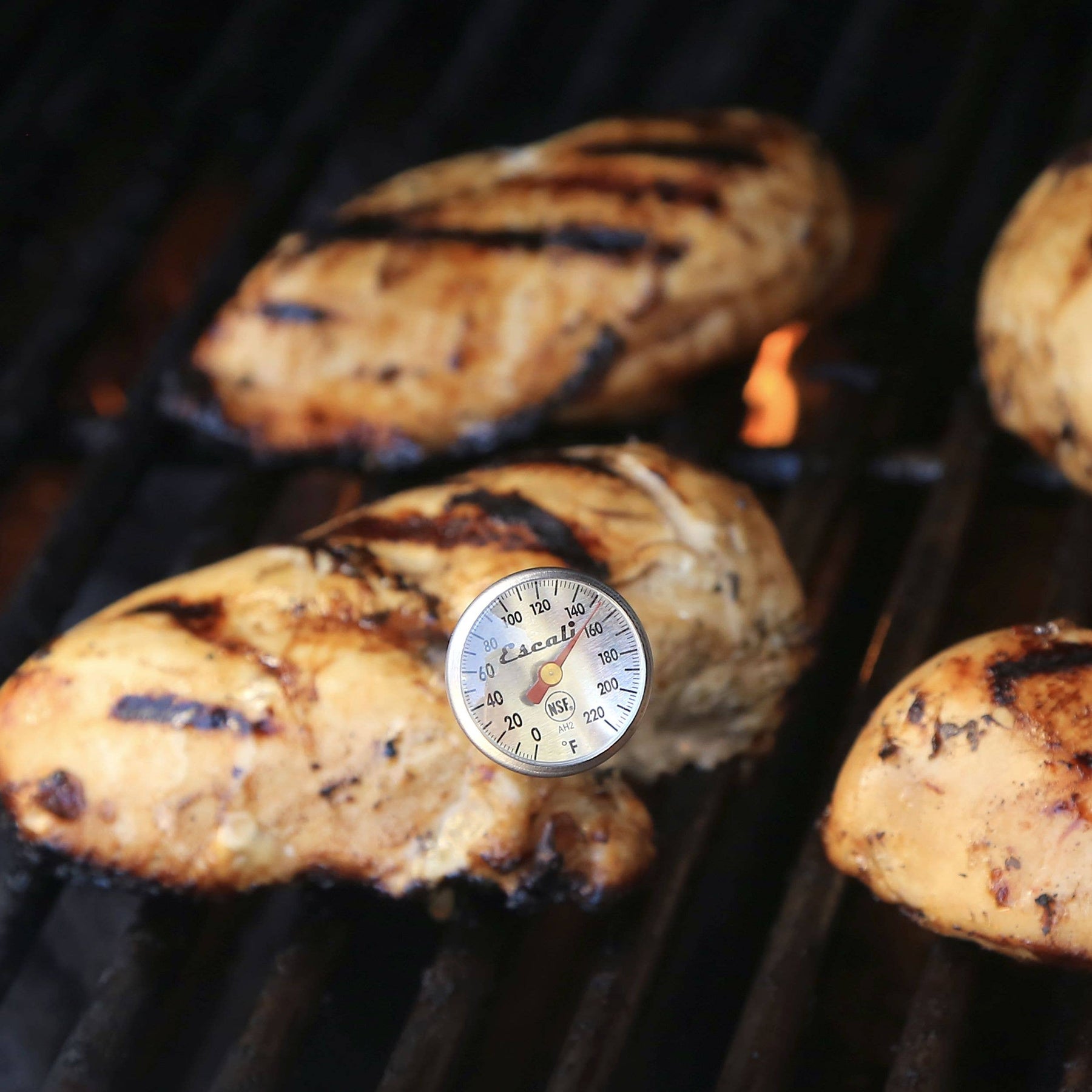 Instant Read Dial Thermometer - Kitchen Supply - Bluecashew Kitchen Homestead