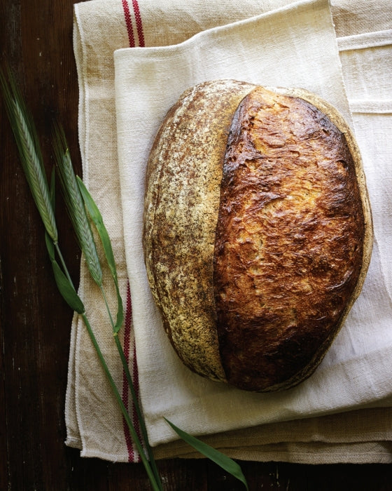 Sourdough 10th Anniversary Edition | by Sarah Owens