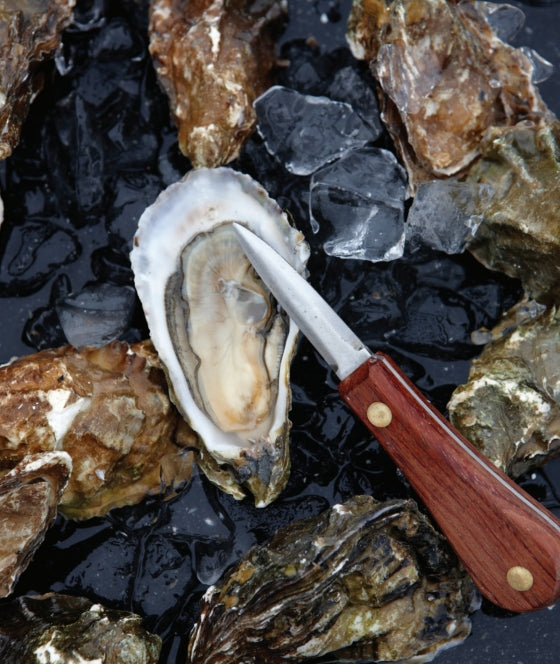 Oysters | by Cynthia Nims - Random House, Inc - Bluecashew Kitchen Homestead