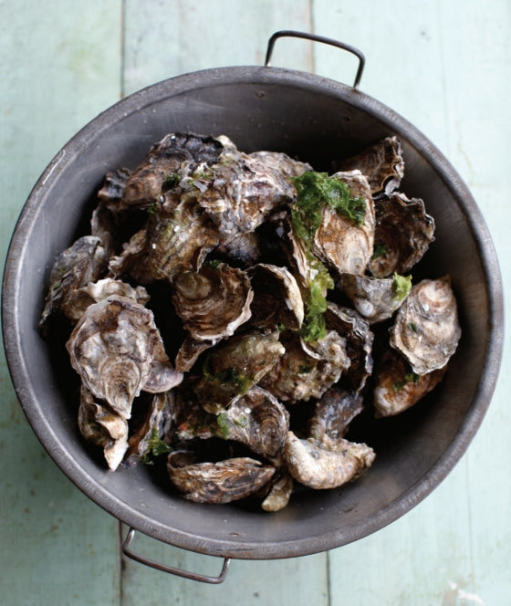 Oysters | by Cynthia Nims - Random House, Inc - Bluecashew Kitchen Homestead