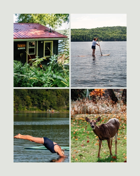 The Essential Cottage Cookbook | by Andrea Buckett - Random House, Inc - Bluecashew Kitchen Homestead