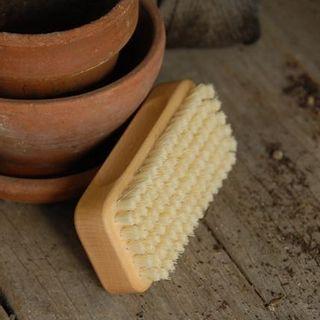 Gardener / Mechanic's Nail Brush - Earth & Nest - Bluecashew Kitchen Homestead