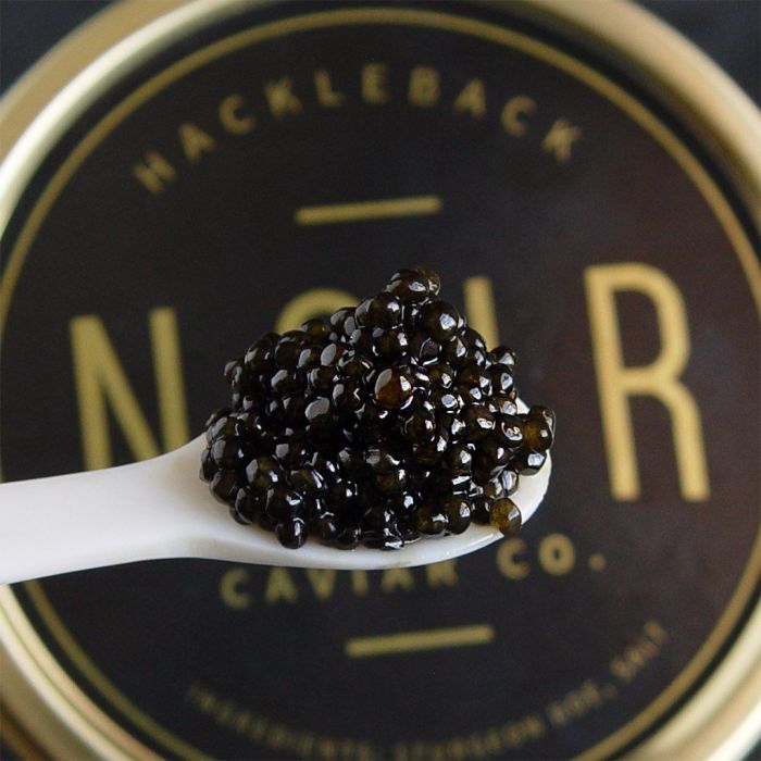 Hackleback American Sturgeon Roe Caviar 30g - Catsmo -bluecashew kitchen homestead