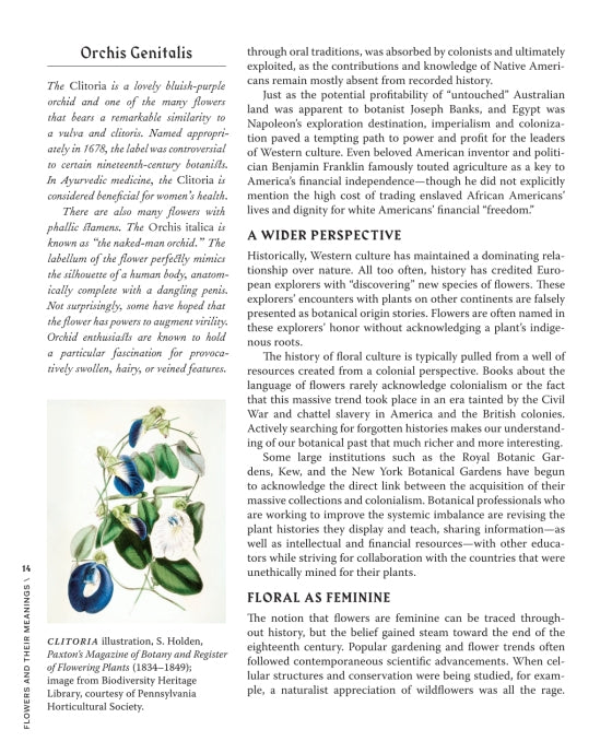 Flowers and Their Meanings | By Karen Azoulay - Random House, Inc - Bluecashew Kitchen Homestead