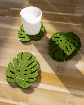 Monstera Coasters