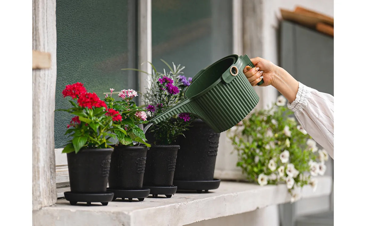 Hachiman Garden Beetle Watering Can | Small