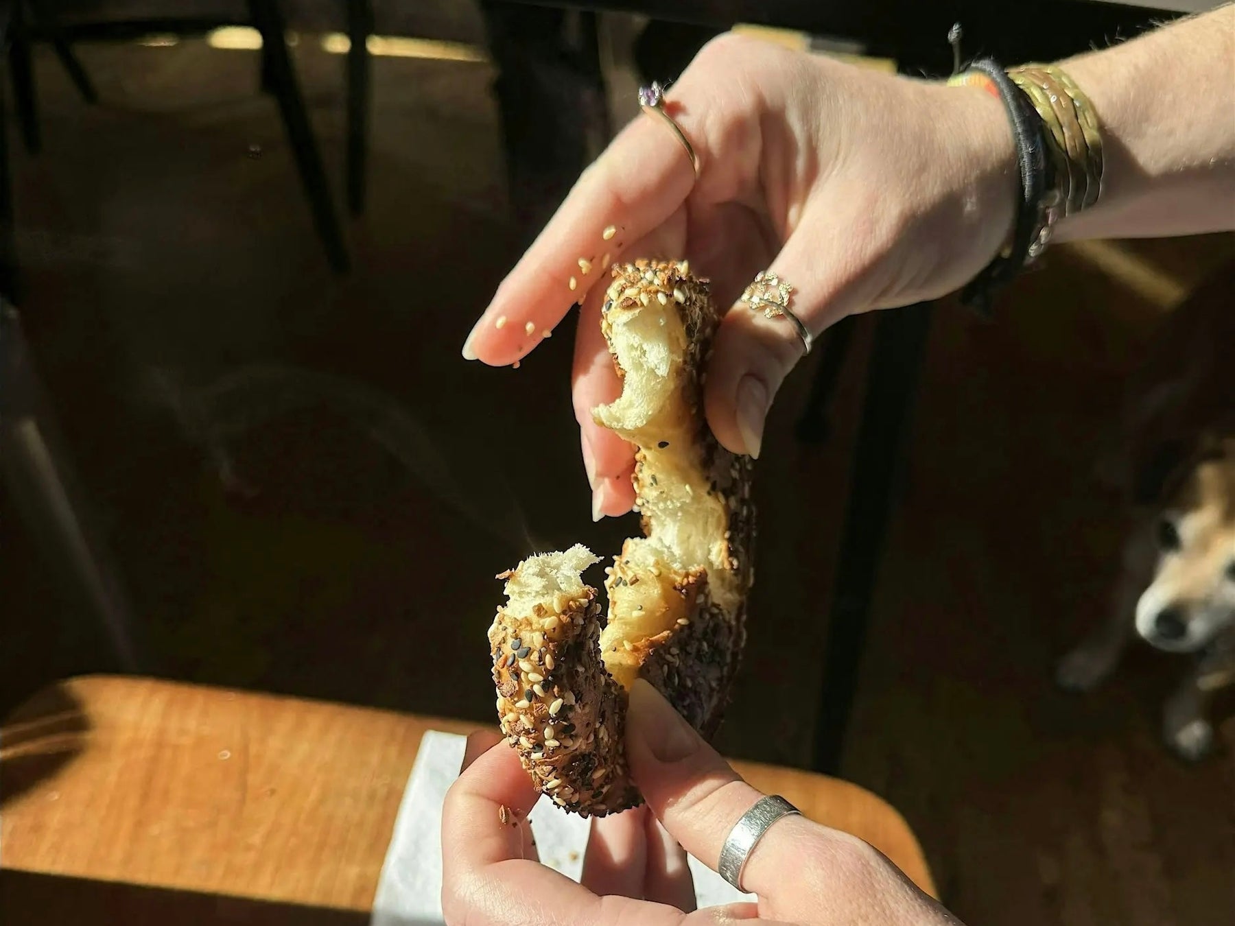 Tasting History: Old-World New York Bagels by Hand with Jeff Cooperman + Lauren McGrath | Sunday 07.19.26 @ 2:30pm
