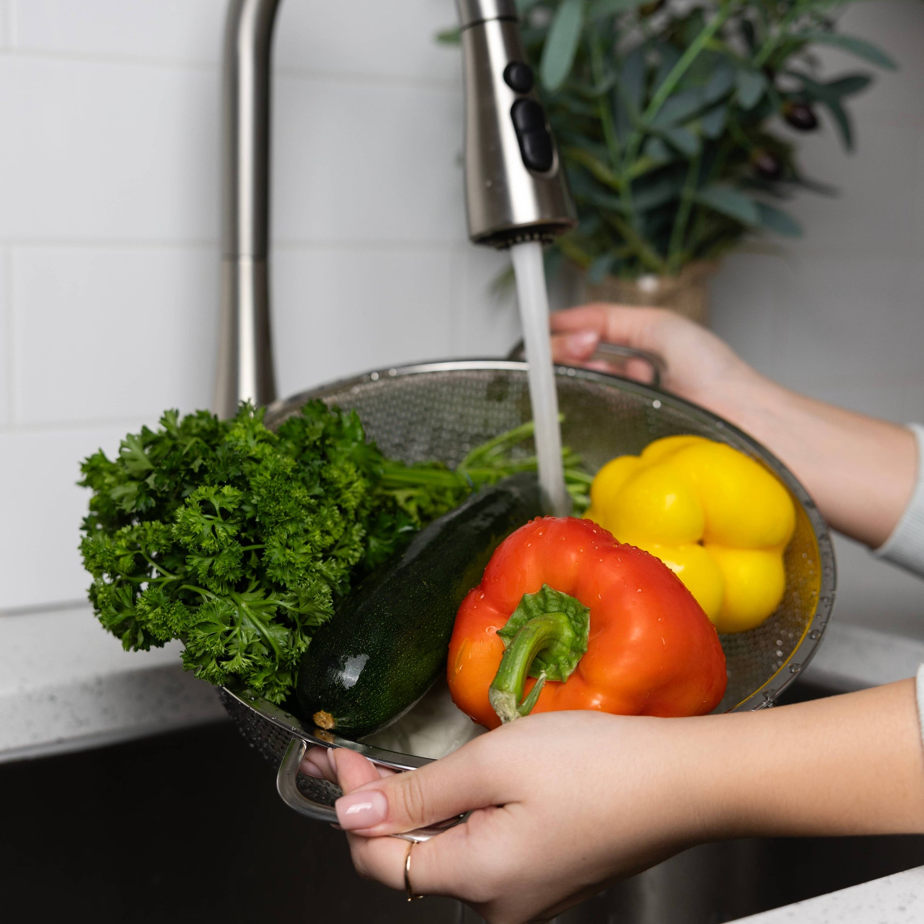 Stainless Steel Colander | 5 Quart
