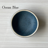 Itty Bitty Dish | Ocean Blue - fort & field - Bluecashew Kitchen Homestead