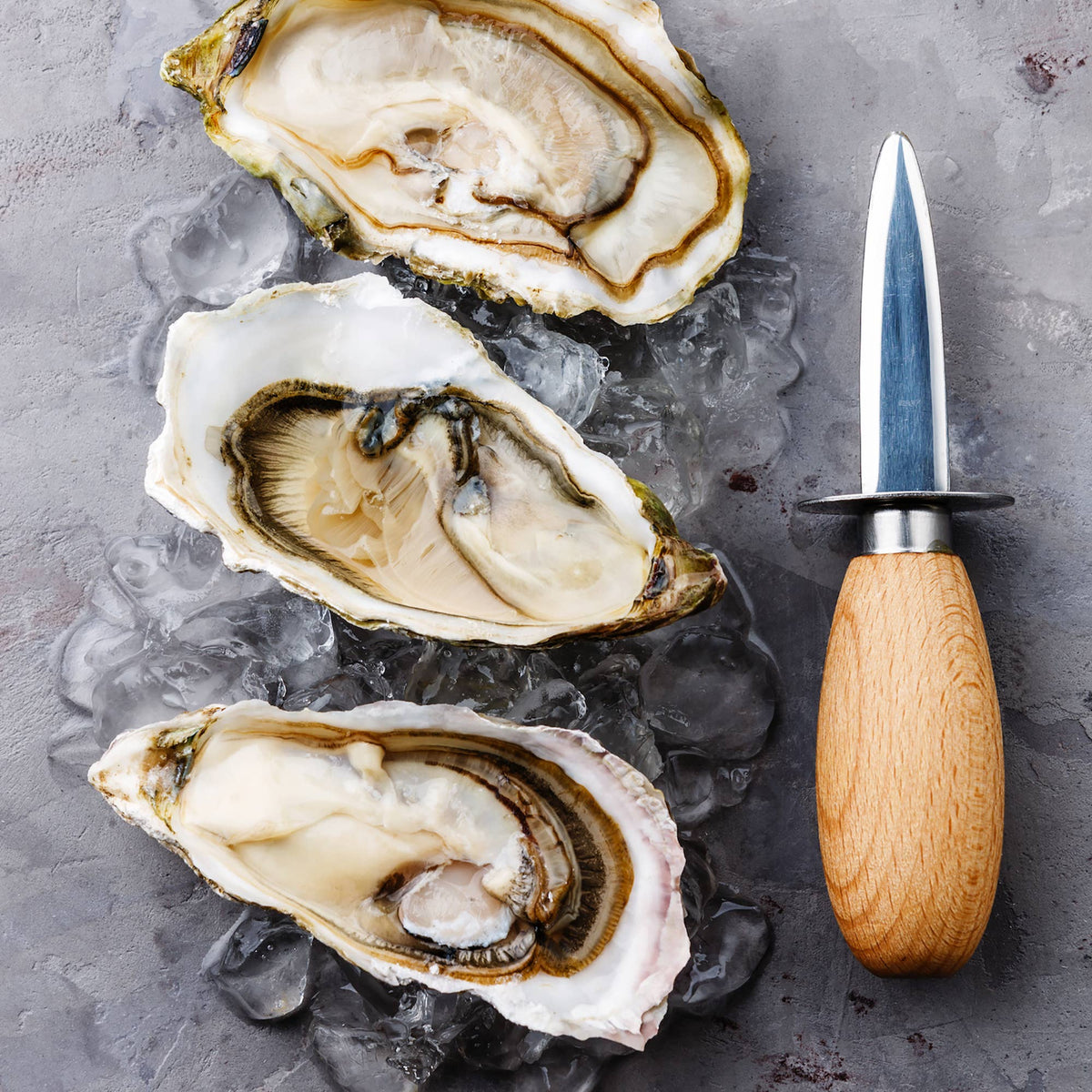 Nantucket Oyster Knife