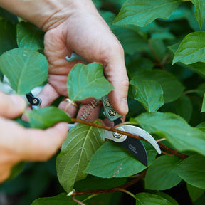 Garden Pruners | Ocean - Modern Sprout - Bluecashew Kitchen Homestead