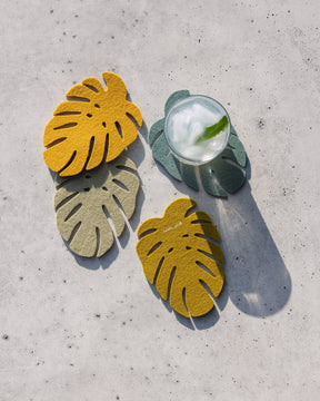 Merino Wool Monstera Coasters | Jungle