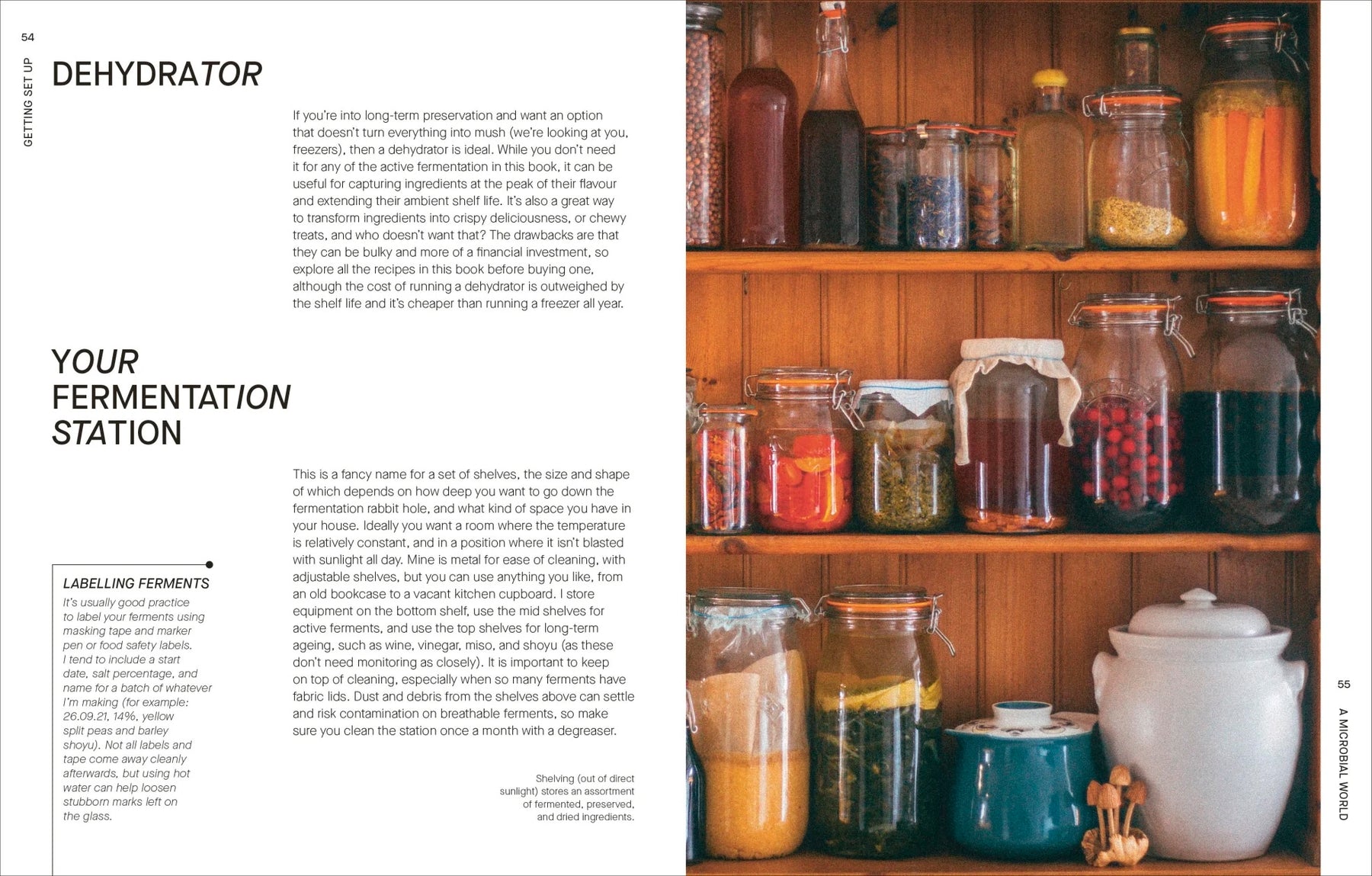 The Fermentation Kitchen | by Sam Cooper