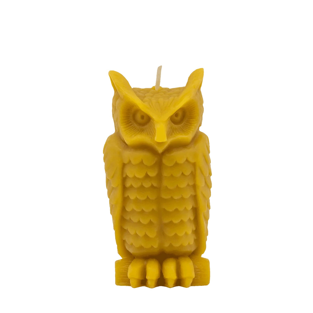 Wise Owl Beeswax Candle | Natural - sunbeam candles - bluecashew kitchen homestead