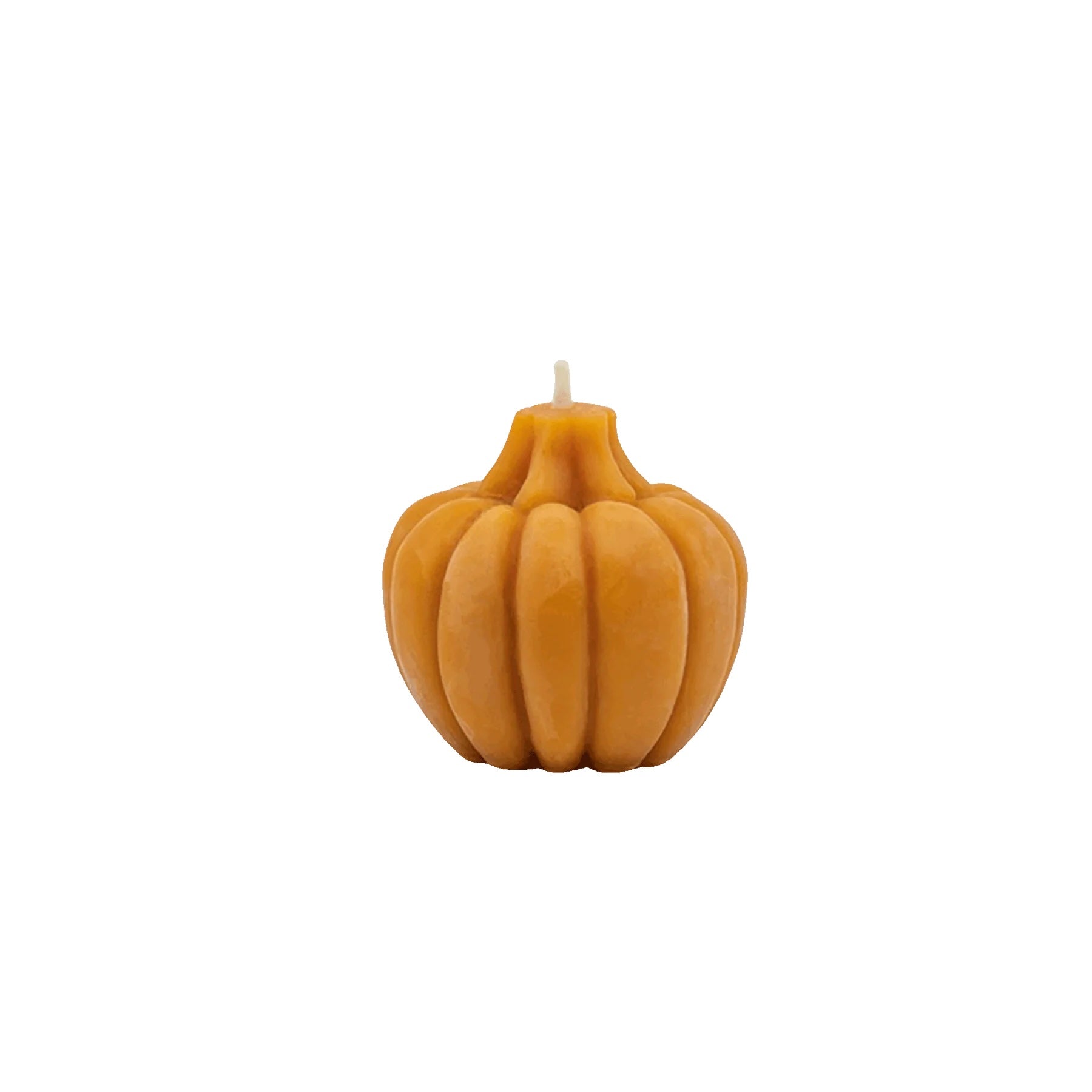 Pumpkin Beeswax Candle | Small - sunbeam candles - Bluecashew Kitchen Homestead