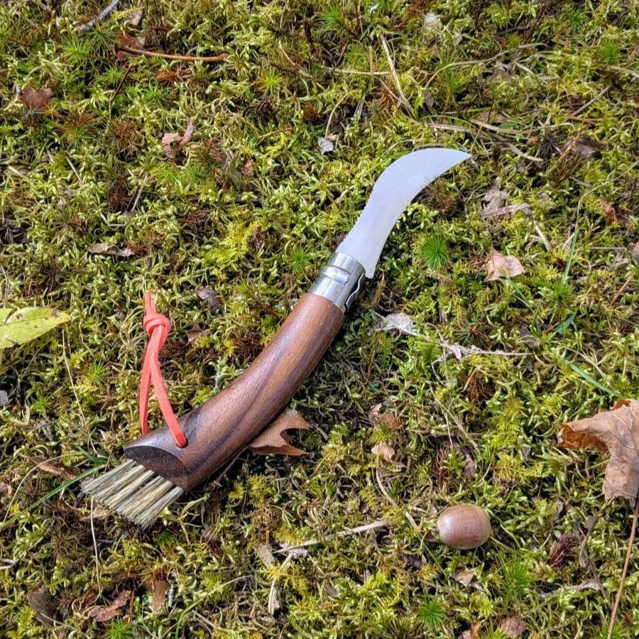 No.8 Mushroom Knife | Black Walnut