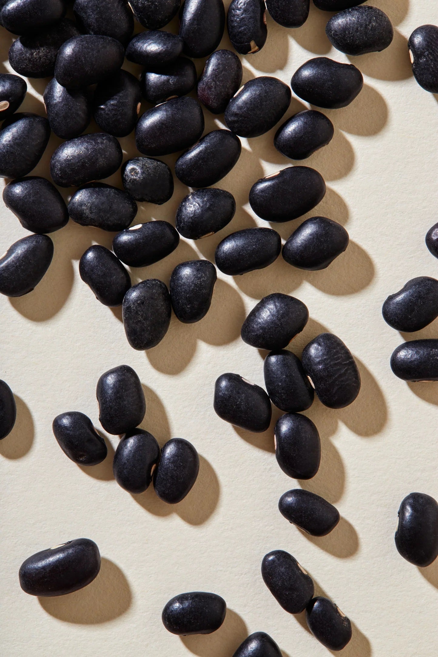 Organic Black Beans - beanstory - Bluecashew Kitchen Homestead