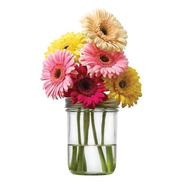 Flower Grid for Wide Mouth Mason Jars