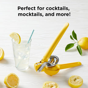 FreshForce Citrus Juicer - Chef'n - bluecashew kitchen homestead
