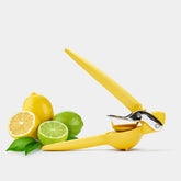 FreshForce Citrus Juicer - Chef'n - bluecashew kitchen homestead