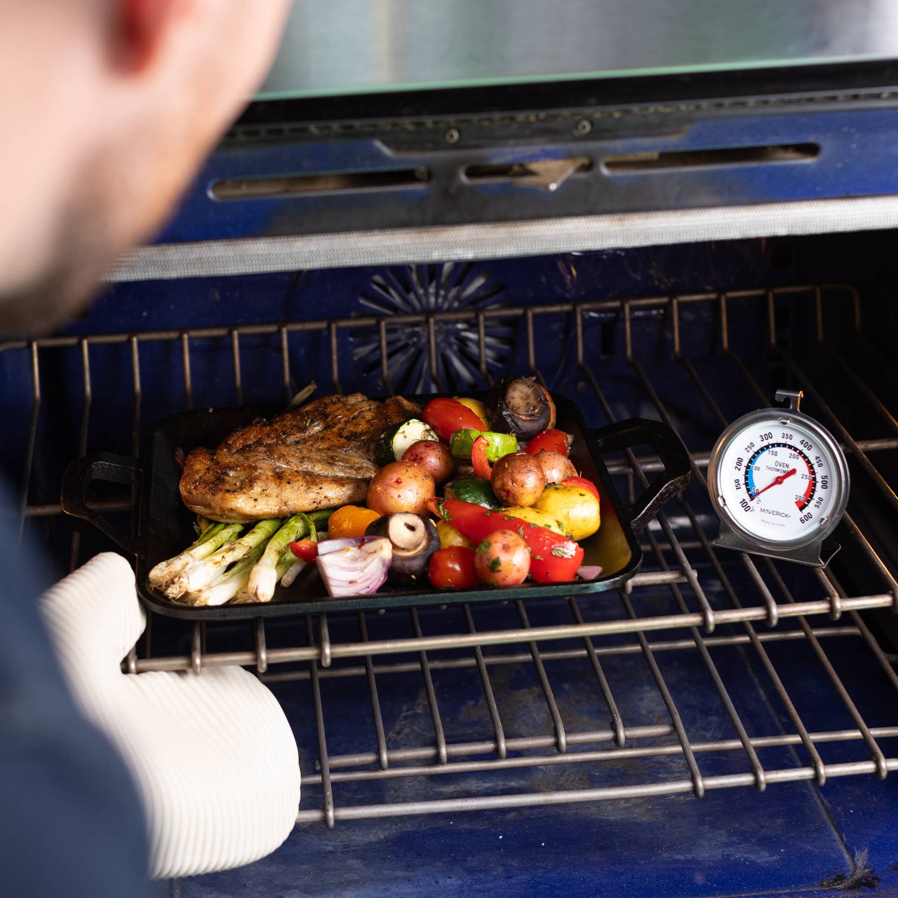 Large Dial Oven Thermometer - Kitchen Supply - bluecashew kitchen homestead