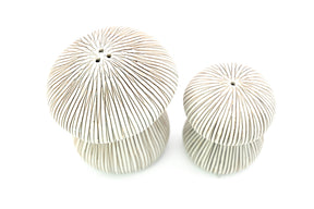 Pinstripe Mushroom Salt + Pepper Shakers