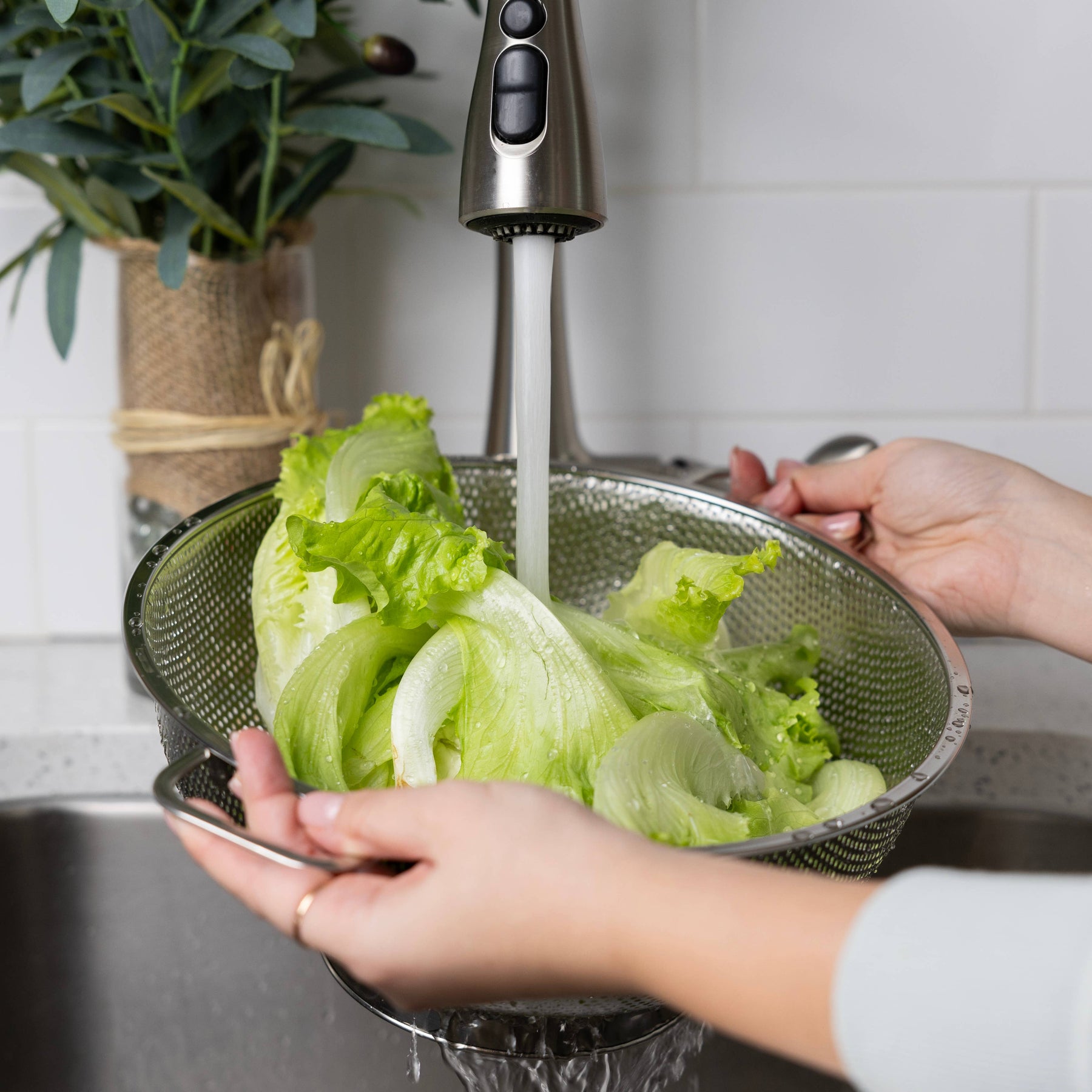 Stainless Steel Colander | 5 Quart