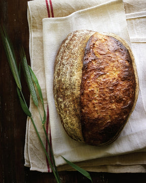 Sourdough 10th Anniversary Edition | by Sarah Owens