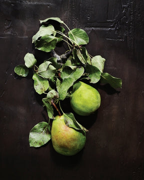 Sourdough 10th Anniversary Edition | by Sarah Owens