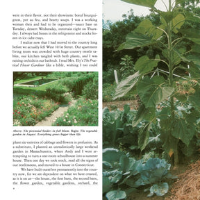 Entertaining | by Martha Stewart