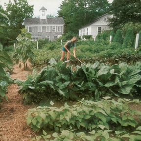 Entertaining | by Martha Stewart