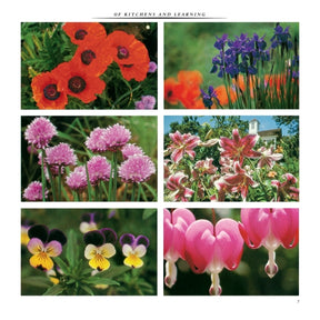 Entertaining | by Martha Stewart