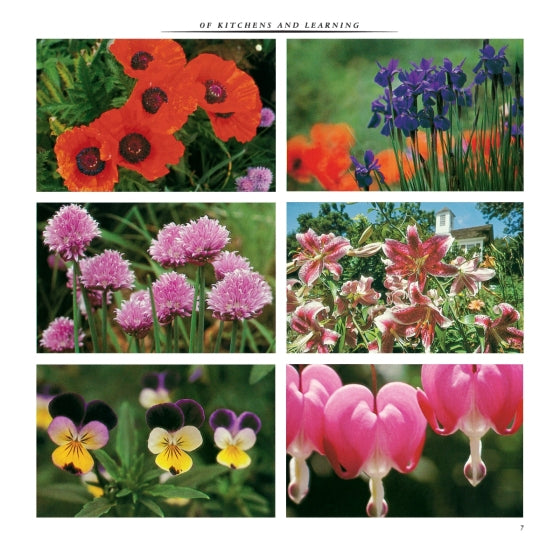 Entertaining | by Martha Stewart