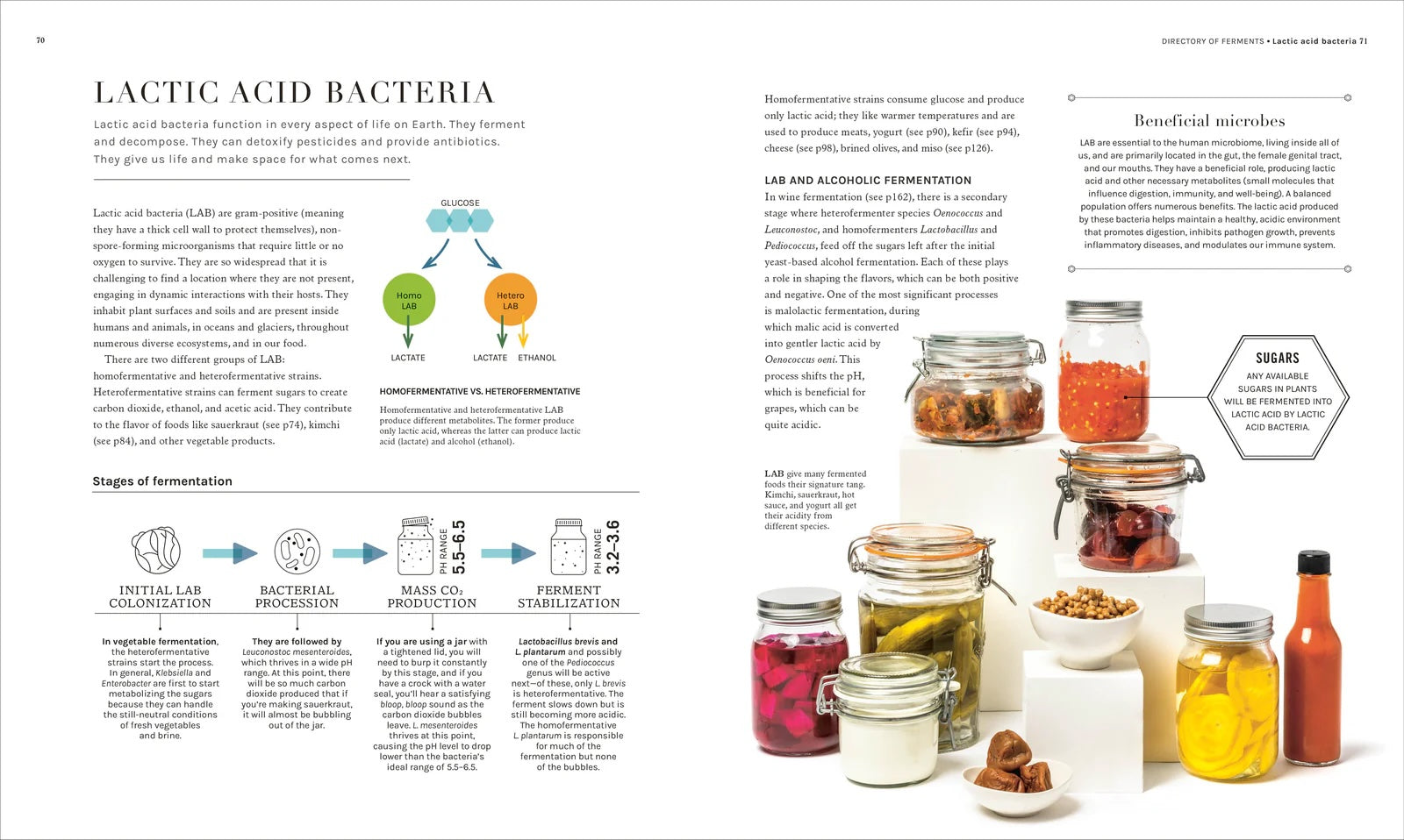 The Science of Fermentation | by Robin Sherriff - Random House, Inc - bluecashew kitchen homestead