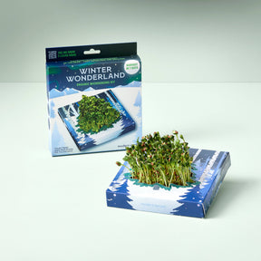 Winter Wonderland Microgreens Kit - Modern Sprout - Bluecashew Kitchen Homestead