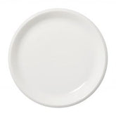 Raami Plate Larger - Iittala -bluecashew kitchen homestead