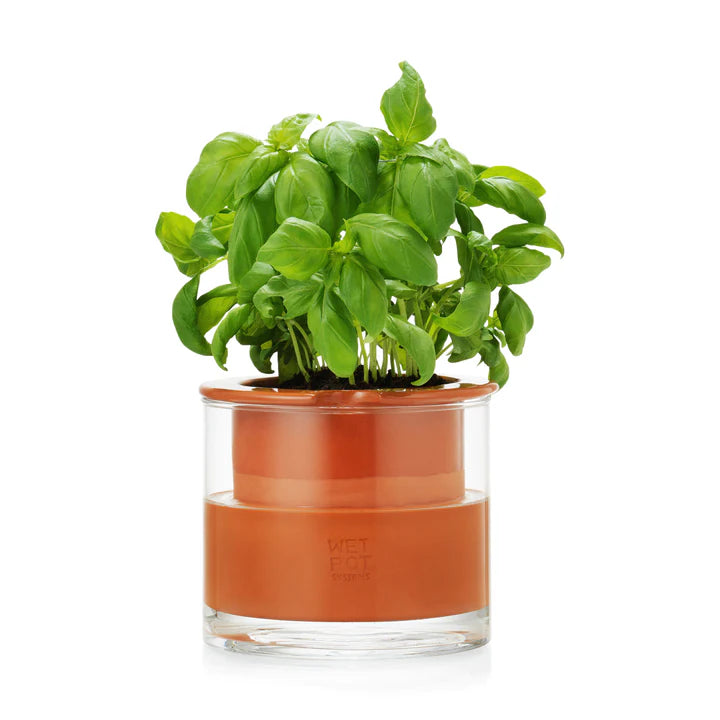 MoMA Self-Watering Wet Pots, 3 Sizes, Terra-Cotta & Glass on Food52